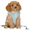 Dog Harness Trixie Junior Mint M/L,,,
