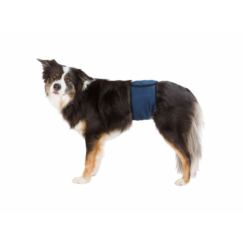 Strap Trixie Male Plug Abdomen,,,