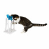 Cat toy Trixie Plastic 22 × 33 × 18 CM,,,