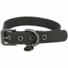 Dog collar Trixie Black XS/S 25-32 cm,,,
