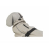 Dog raincoat Trixie Sand M,,,