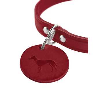 Suņa kaklasiksna Hunter Aalborg Sarkans XS 24-29 cm,,,