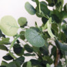 BB_S3057305