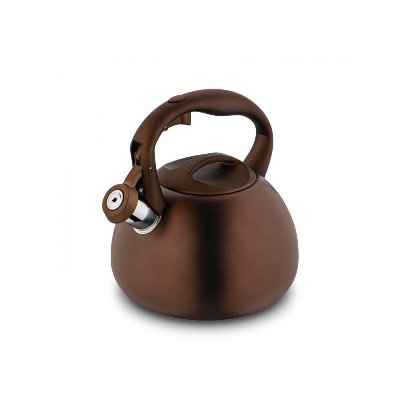 Чайник мет. 3.0L с свистком indukc CASPIO BR