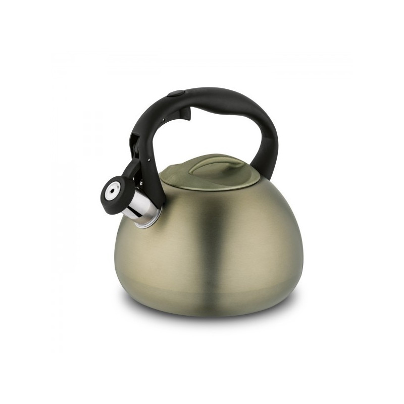 Чайник мет. 3.0L с свистком indukc CASPIO ZL