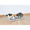 Scratching Post for Cats Trixie Grey Light grey Polyester Sisal EVA 55 × 35 cm,,,