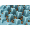 Pet feeding dish Trixie Blue TPE d 35 cm,,,