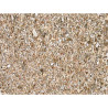 Substrate Trixie 5 L Vermiculite,,,