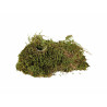 Substrate Trixie 200 gr Moss,,,