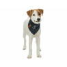 Handkerchief Trixie Dog Anchor,,,