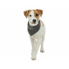 Handkerchief Trixie Dog,,,