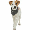 Handkerchief Trixie Dog,,,