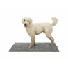 Dog Carpet Trixie Grey 100 × 70 CM Absorbing,,,