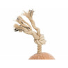 Dog toy Trixie Polyester Cotton 38 cm,,,