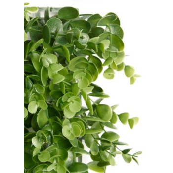 Vertikalus sodo Ibergarden Plastmasinis Paklodės 50 x 50 cm 50 x 0,07 x 50 cm,,,