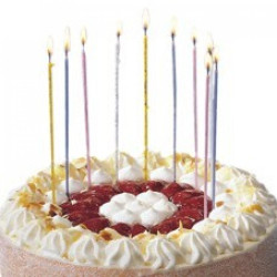 CANDLES SPAGHETTI 16.5CM,...