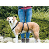 Guide harness for dog Trixie Stay Black M/L,,,