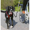 Dog Lead Trixie Reflective Bicycle,,,