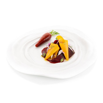 CAROTA20