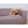 Pet blanket Trixie Laslo Beige 75 × 50 cm,,,