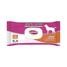 Wet Wipes for Pets Inodorina 40 Units,,,