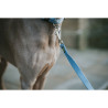 Dog Lead Hunter Blue 100 cm,,,