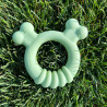 Dog chewing toy Nylabone SENSORY TACTILE RING Green Peanut butter Chicken S,,,
