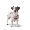Dog Harness Hunter DIVO UP Pink L/XL,,,