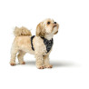 Dog Harness Hunter DIVO UP Black S,,,