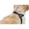 Dog Harness Hunter SOHO MINI Black XS,,,