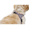 Dog Harness Hunter SOHO MINI Lilac XS/S,,,