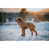 Pet's clothing Hunter PAXSON Brown Polyester,,,