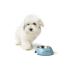 Dog Feeder Hunter Mayfair Blue 350 ml,,,
