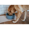 Dog Feeder Hunter OSBY Blue Ceramic 550 ml,,,