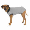 Body protector for dogs Trixie Grey S,,,