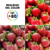BB_S0459118