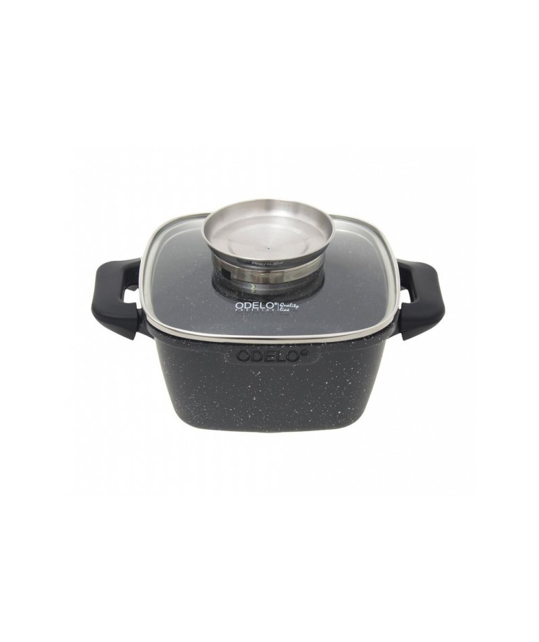 Puodas 16*16cm 1.7L neprid. traukskc. ODELO ARM