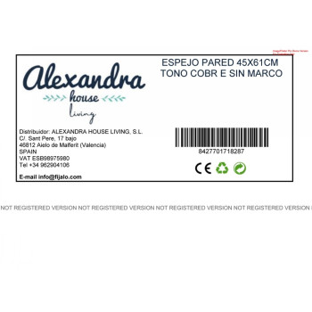 Sieninis veidrodis Alexandra House Living Metalinis Abstraktus 2 x 55 x 41 cm,,,