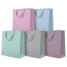 GIFT PACKAGE  LARGE 26.5X33.5X13CM MIX MONOCOLOR PASTEL, Paw Decor Collection