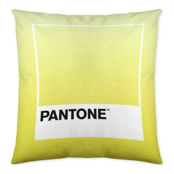 Spilvendrāna Ombre C Pantone Localization_B086JQZYZH Abpusējs 50 x 50 cm,,,