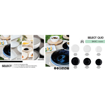 BB_S2712225