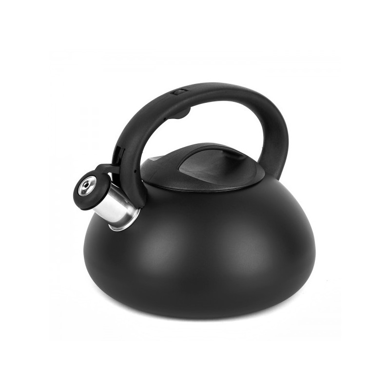 Чайник мет. 3.0L с свистком indukc. VITA J