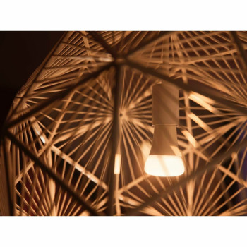 BB_S7138018