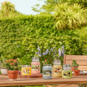 Lõhnastatud küünal Yankee Candle 10.00114.0846,,,
