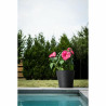 BB_S71009552