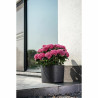 BB_S71009570