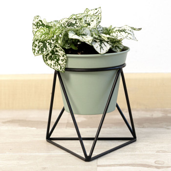 Planter with stand Vinthera Moa Green Metal 14,5 x 12,5 x 15 cm (12 Units),,,