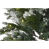 BB_S3058516