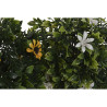 BB_S3058951