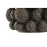 BB_S3059177